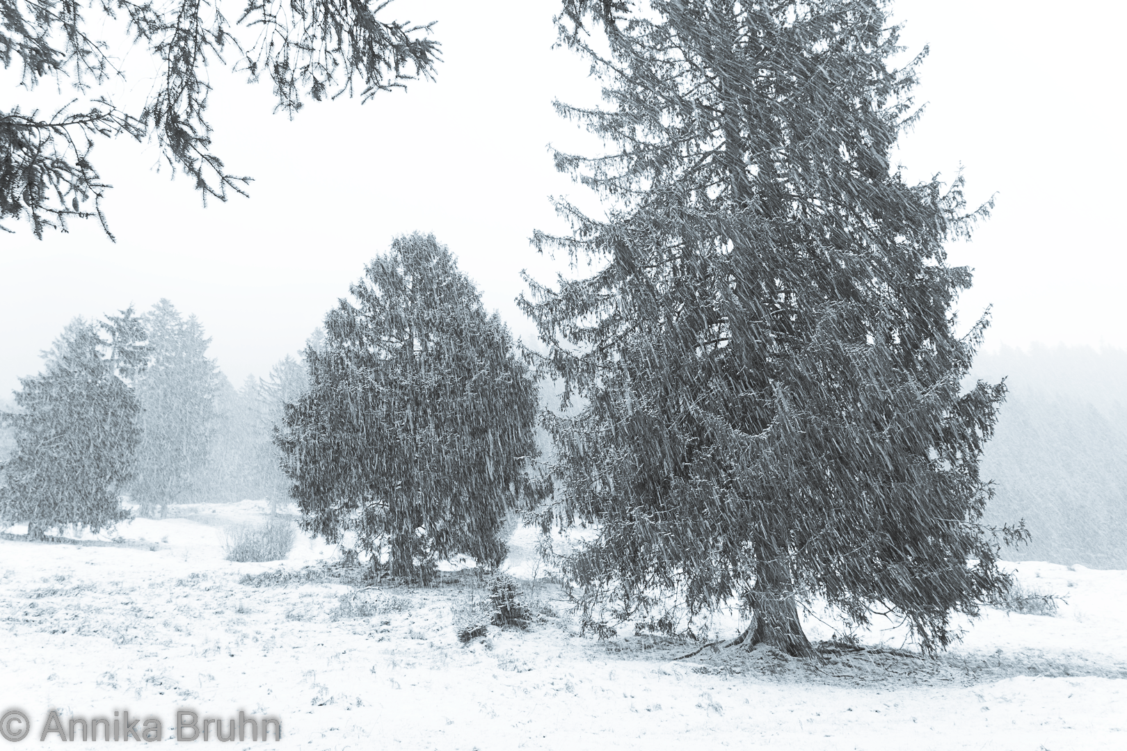 Endlich, es schneit!